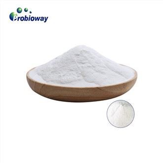 Fermentação do contrato de probióticos