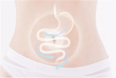 Sobre proteção e defesa contra o envelhecimento--permeabilidade intestinal