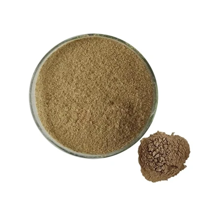 Para que serve o Bacillus subtilis?