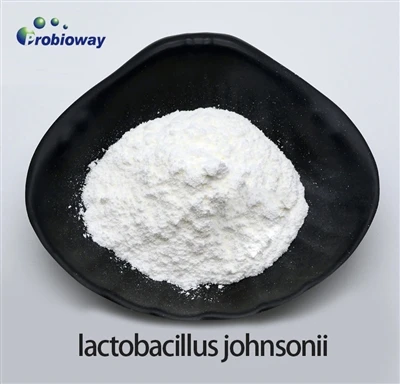 Lactobacillus Johnsonii lidera a nova tendência com novos produtos para ajudá...