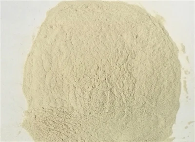 O que acontece se você tiver muito Bacillus Coagulans?